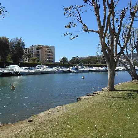 Dans Les Rives De Cannes