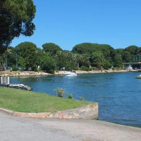 Dans Les Rives De Cannes *